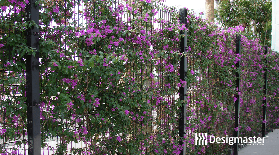 Garden fence